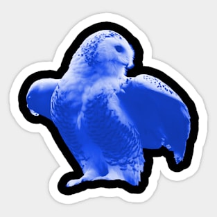 Owl Blue Sticker